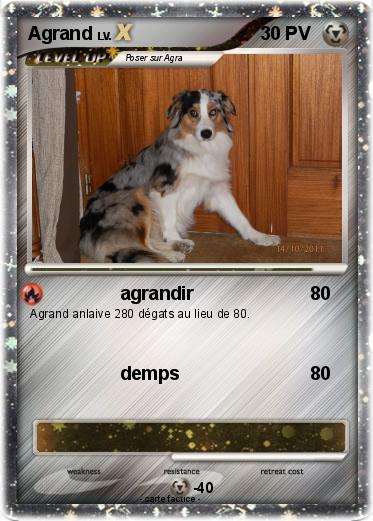 Pokemon Agrand