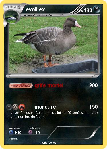 Pokemon evoli ex