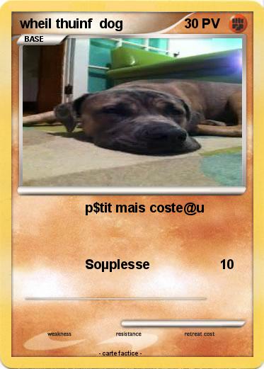 Pokemon wheil thuinf  dog