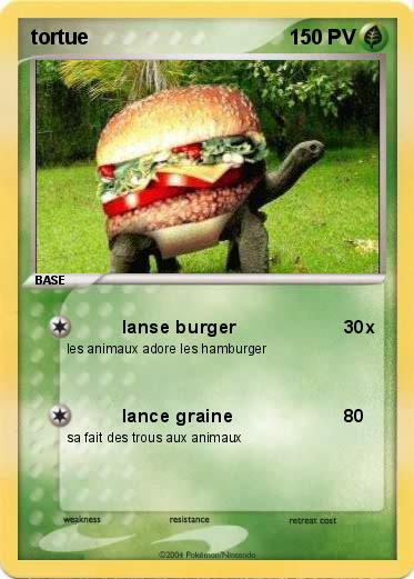 Pokemon tortue