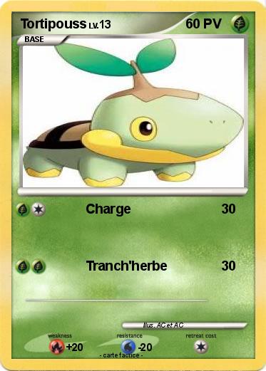 Pokemon Tortipouss