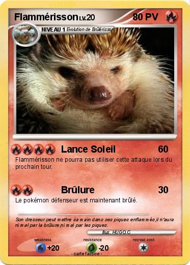 Pokemon Flammérisson