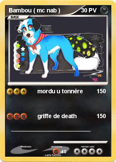 Pokemon Bambou ( mc nab )