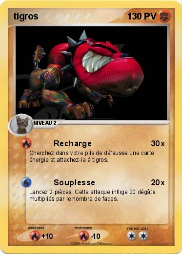 Pokemon tigros