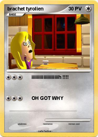 Pokemon brachet tyrolien