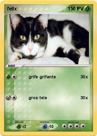 Pokemon felix