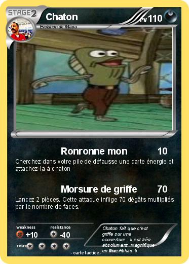 Pokemon Chaton