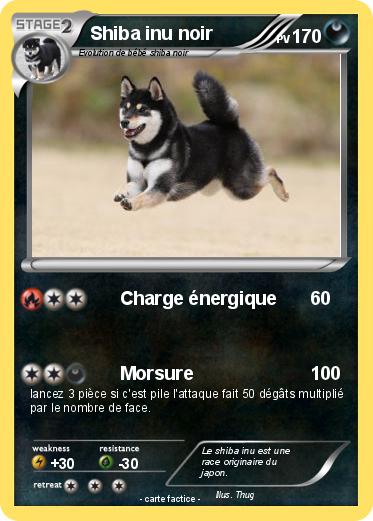 Pokemon Shiba inu noir