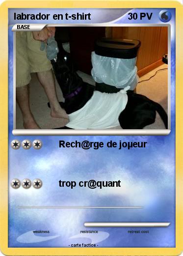 Pokemon labrador en t-shirt