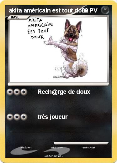 Pokemon akita américain est tout doux
