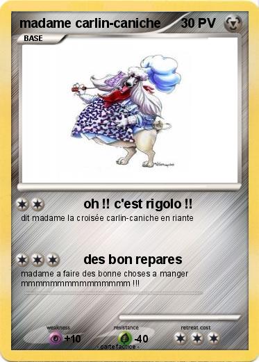 Pokemon madame carlin-caniche