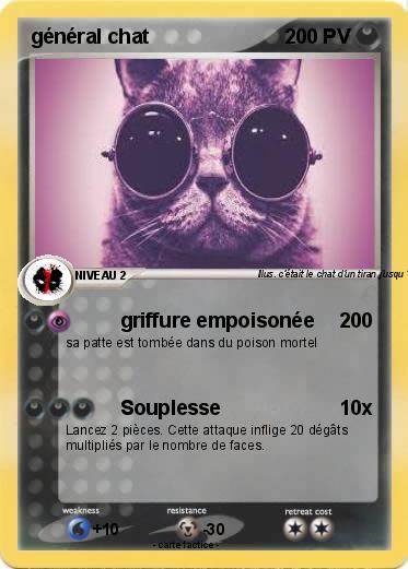 Pokemon général chat