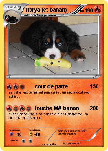 Pokemon harya (et banan)