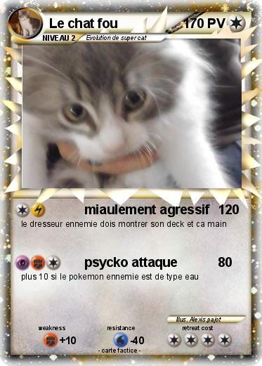 Pokemon Le chat fou