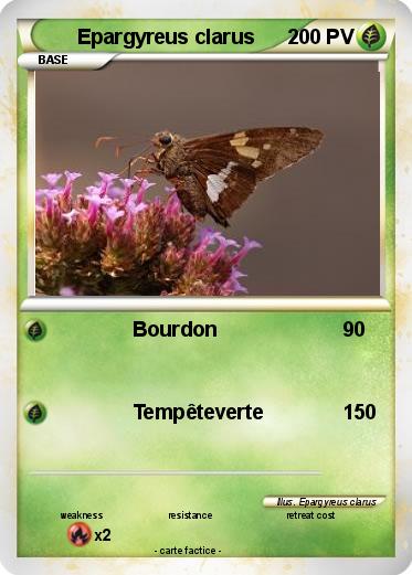 Pokemon Epargyreus clarus