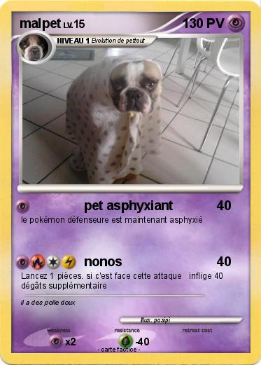 Pokemon malpet
