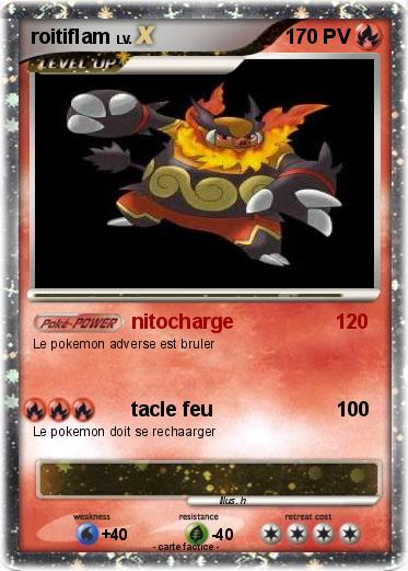 Pokemon roitiflam