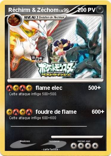 Pokemon Réchirm & Zéchom