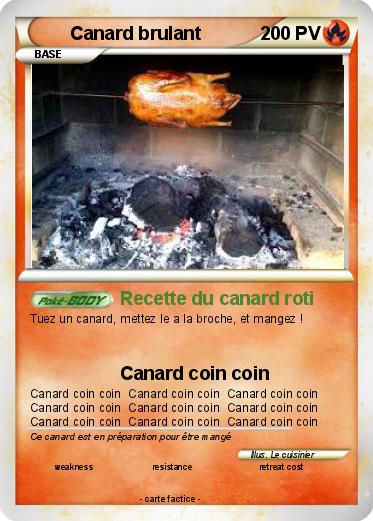 Pokemon Canard brulant