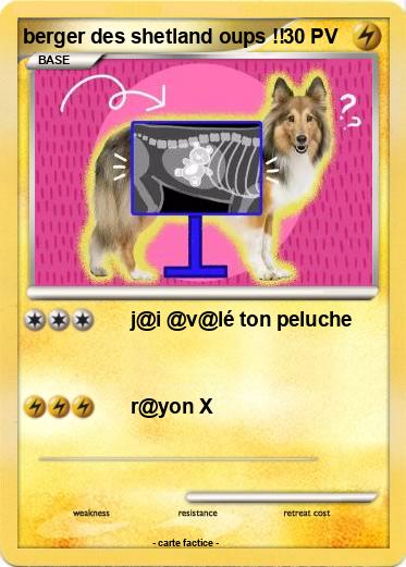Pokemon berger des shetland oups !!