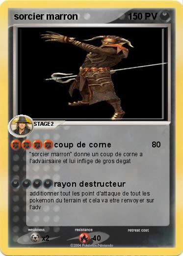 Pokemon sorcier marron 