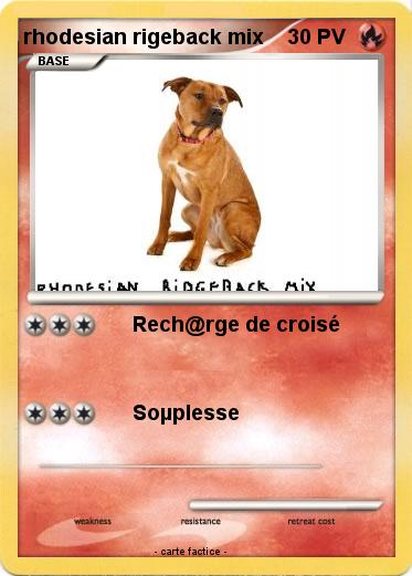 Pokemon rhodesian rigeback mix