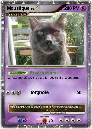 Pokemon Moustique