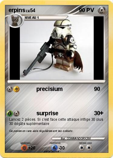 Pokemon erpins