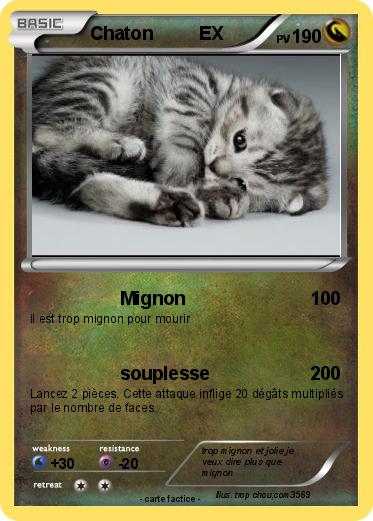 Pokemon Chaton         EX