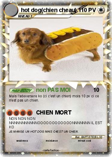 Pokemon hot dog(chien cheau)