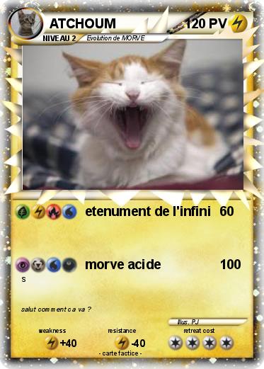 Pokemon ATCHOUM