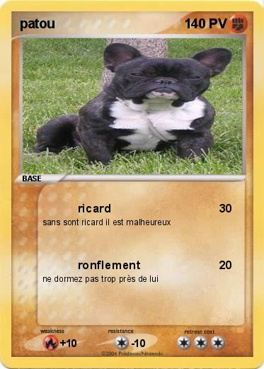 Pokemon patou