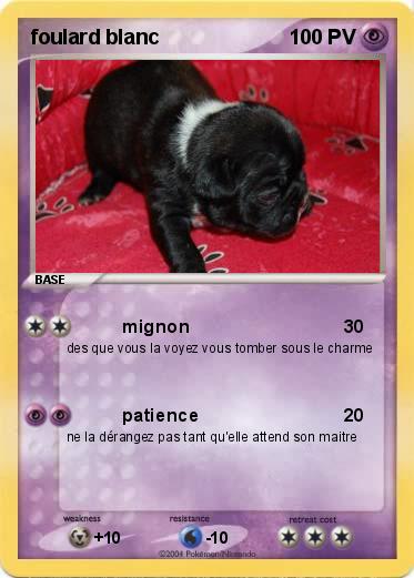 Pokemon foulard blanc