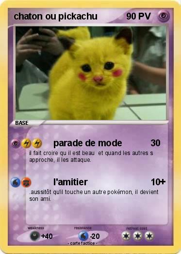 Pokemon chaton ou pickachu