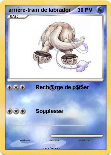 Pokemon arrière-train de labrador