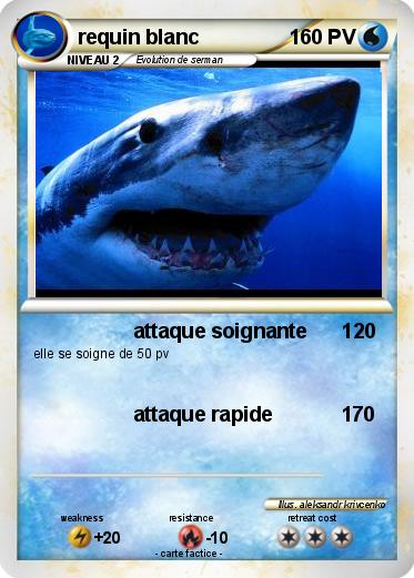 Pokemon requin blanc