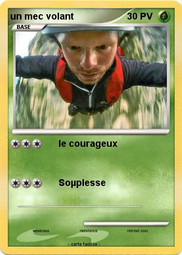 Pokemon un mec volant