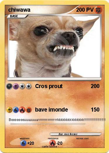 Pokemon chiwawa