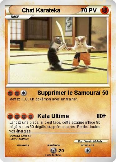 Pokemon Chat Karateka