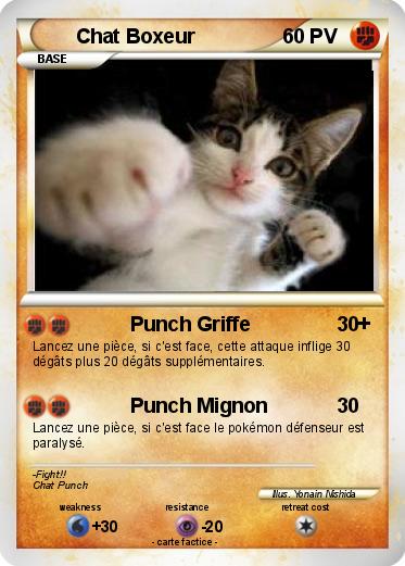 Pokemon Chat Boxeur