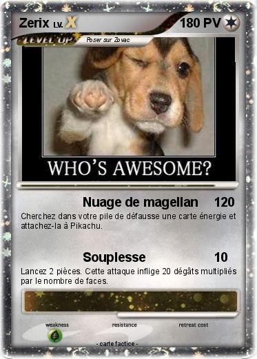 Pokemon Zerix
