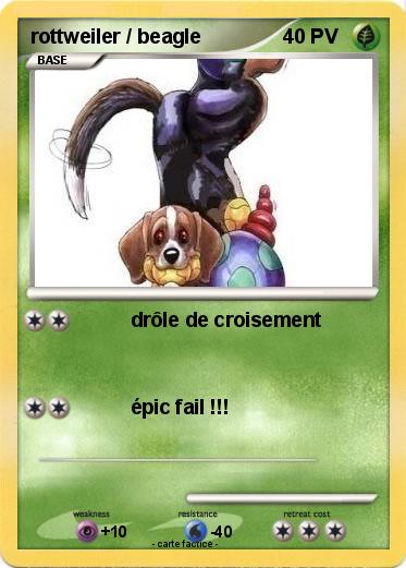 Pokemon rottweiler / beagle