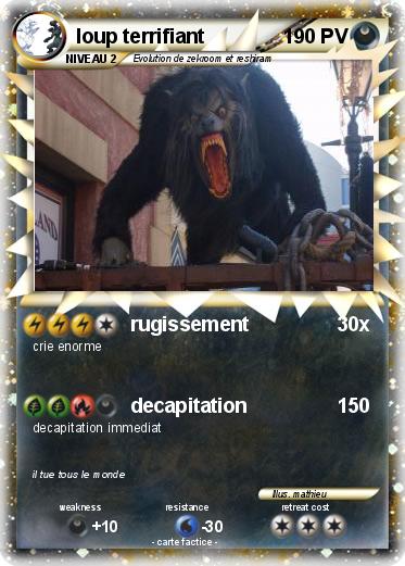Pokemon loup terrifiant