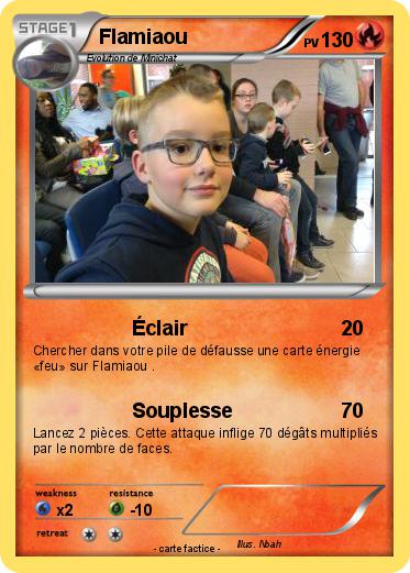 Pokemon Flamiaou