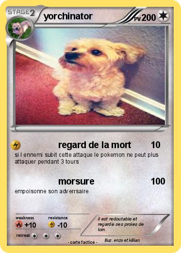 Pokemon yorchinator