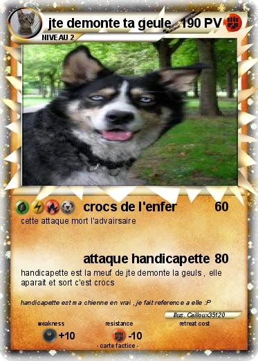 Pokemon jte demonte ta geule