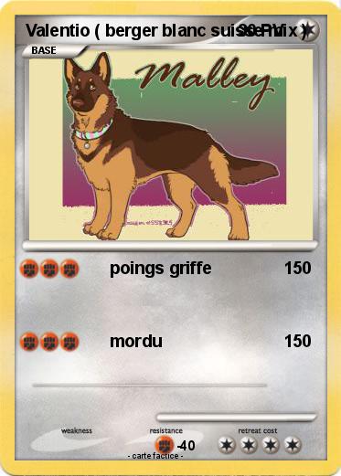 Pokemon Valentio ( berger blanc suisse mix )