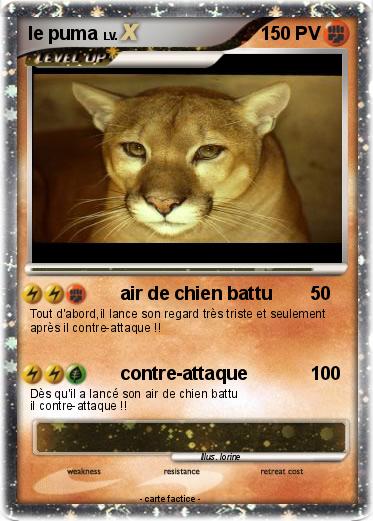 Pokemon le puma