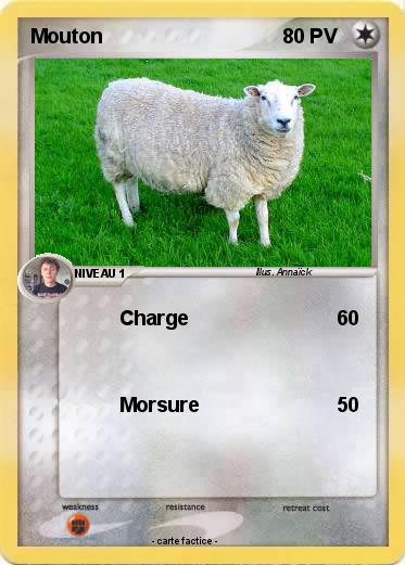 Pokemon Mouton