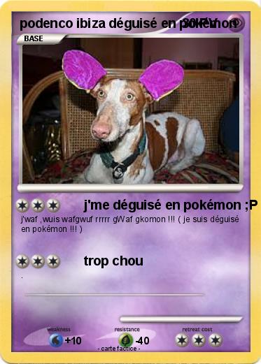 Pokemon podenco ibiza déguisé en pokémon